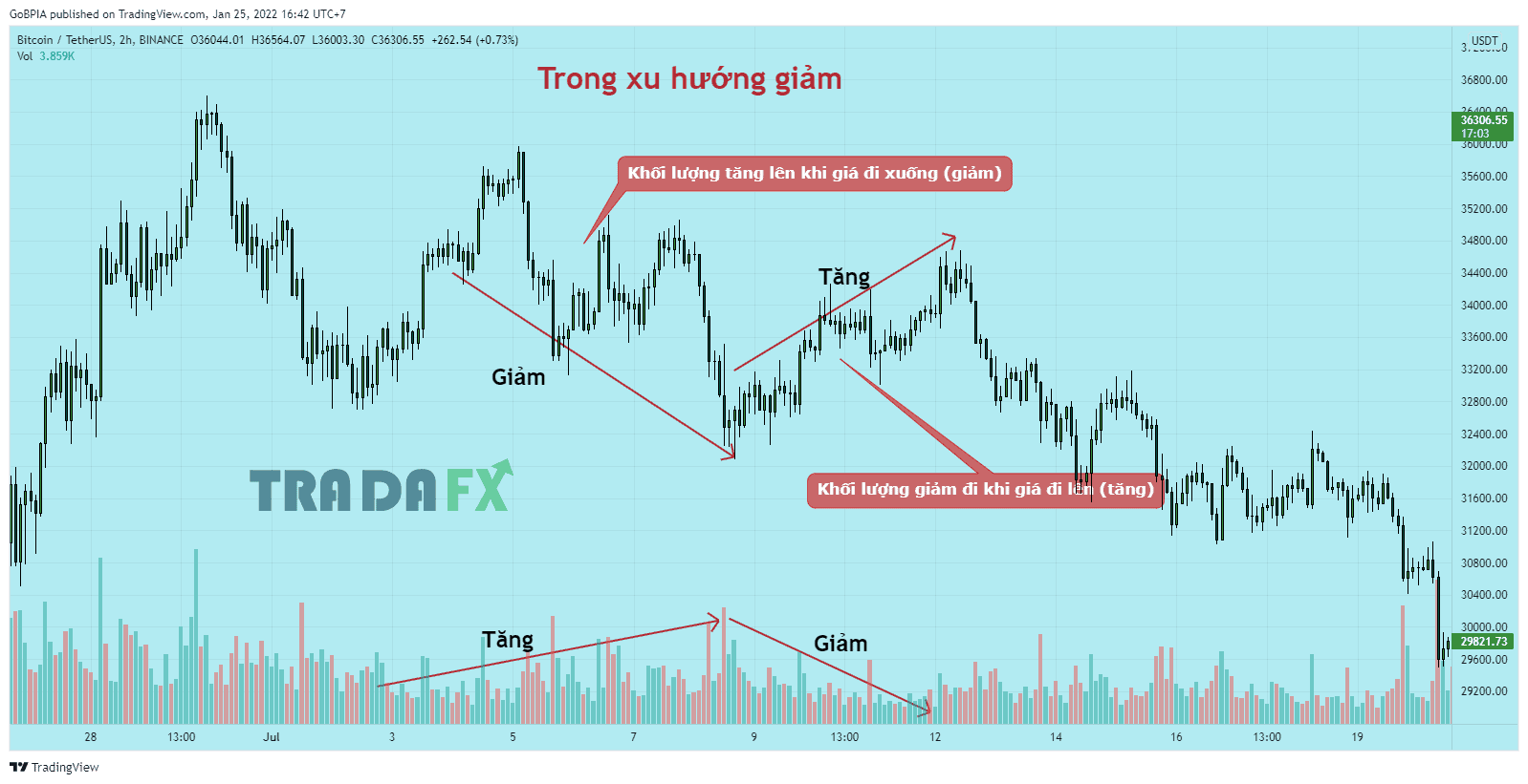 Volume Là Gì? Mối Quan Hệ Giữa Giá Và Khối Lượng Volume Giao Dịch 21 Chỉ báo Volume trong xác định xu hướng giá giảm