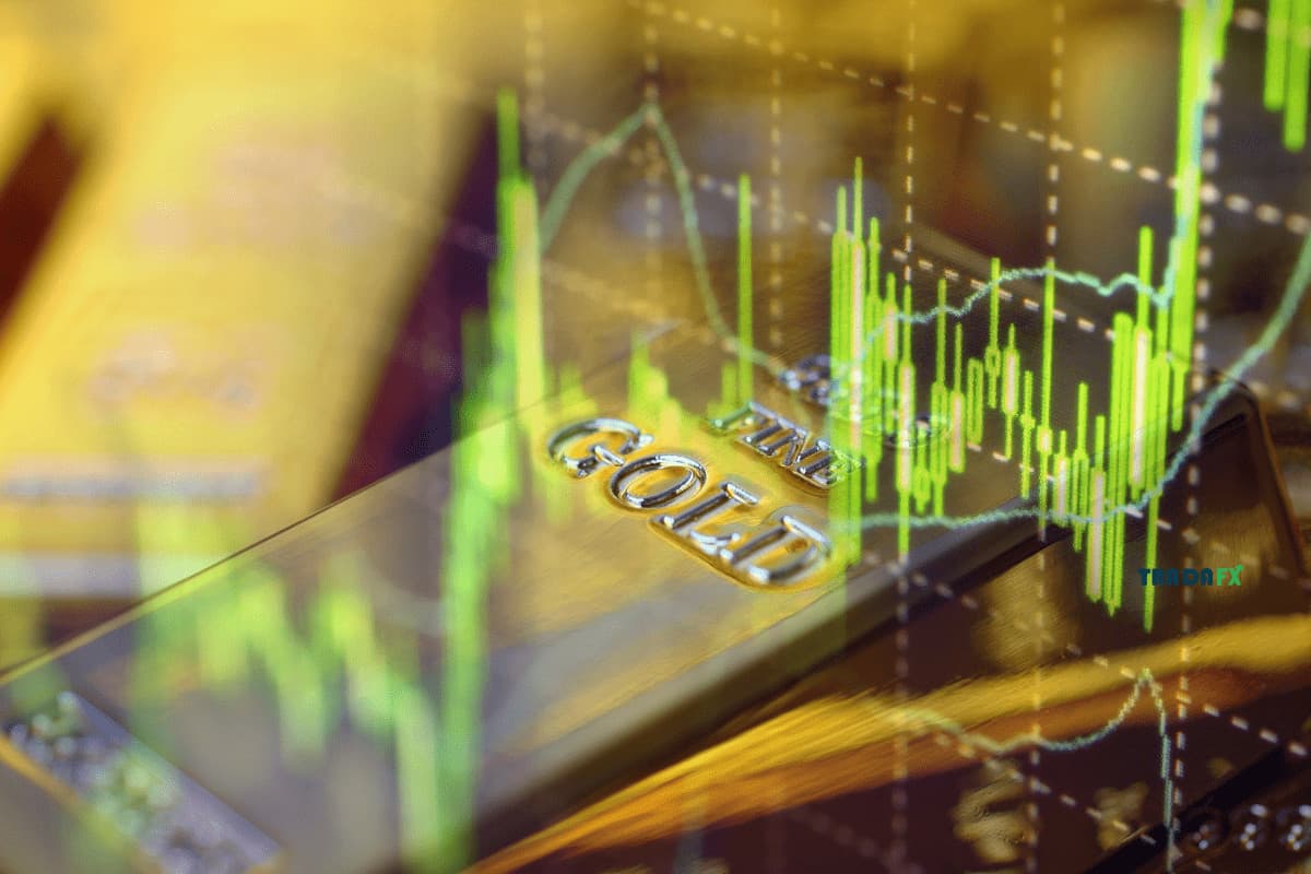 Commodity Là Gì? Phân Loại Commodity Hàng Hóa Như Thế Nào? 14 Cơ chế hoạt động của thị trường hàng hoá