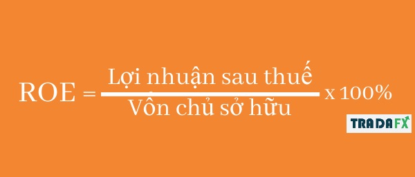 Chỉ số ROE là gì? Ý nghĩa ROE và 1 cách tính ROE dễ hiểu 5 Cach Tinh ROE
