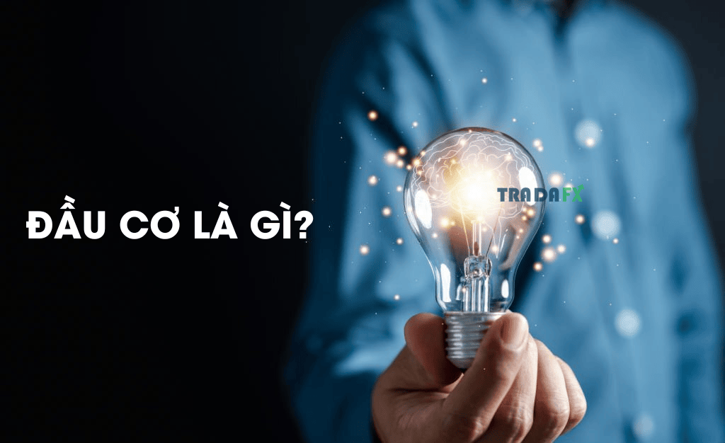 Đầu Cơ Là Gì? Sự Khác Biệt Giữa Đầu Cơ Và Đầu Tư Cho Trader Mới 2023 6 Khái niệm đầu cơ là gì