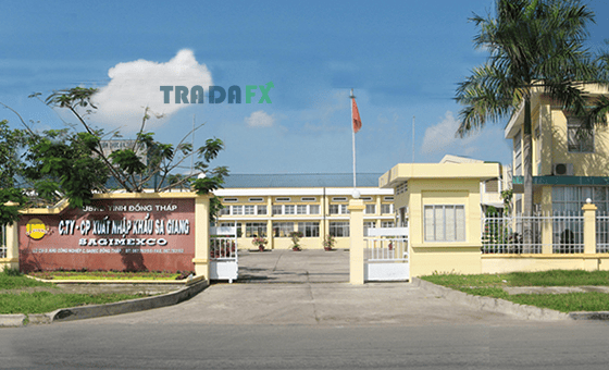 Cổ Phiếu Ngành Thực Phẩm Và Tiềm Năng Đầu Tư Trong Năm 2023 10 CTCP Xuất nhập khẩu Sa Giang (mã SGC)