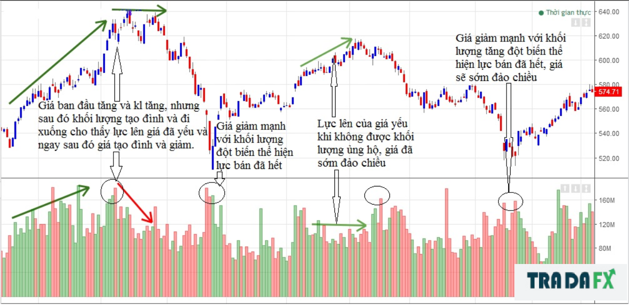 Chỉ báo Volume là gì? Hướng dẫn cách sử dụng chỉ báo Volume hiệu quả nhất. 7 Volume2