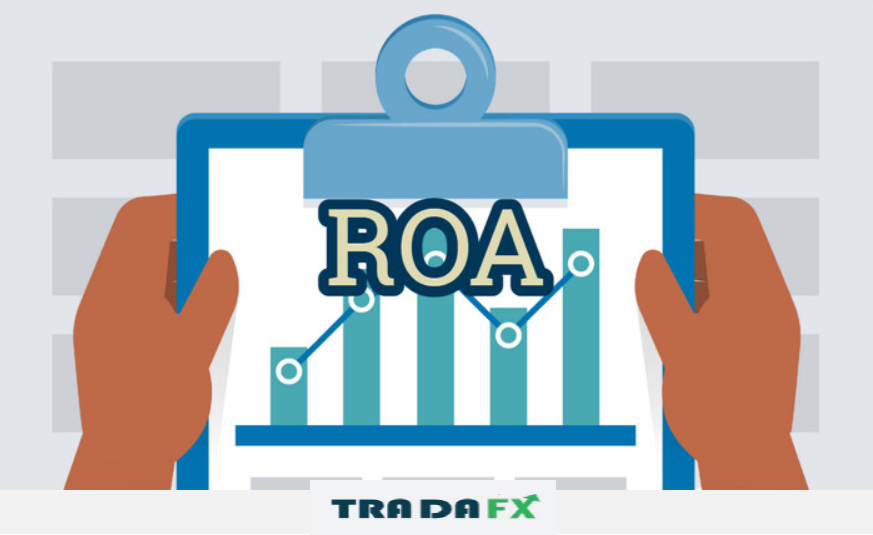 Chỉ số ROA là gì? Ý nghĩa và cách sử dụng của chỉ số ROA 15 roa5