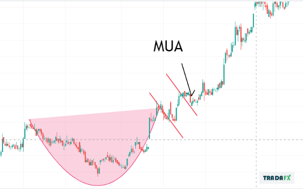 Mô hình cốc tay cầm là gì? Cách giao dịch với mô hình Cup and Handle hiệu quả. 10 CUP4.2