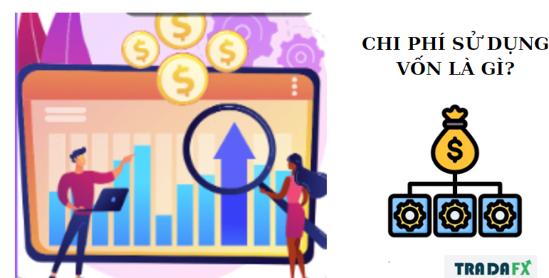 Chi phí sử dụng vốn là gì? Cách tính chi phí sử dụng vốn. 8 von 1